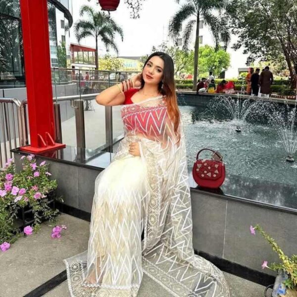 পিওর মাস্লিন অরগ্যাঞ্জা টিস্যু জামদানী শাড়ি - Image 3