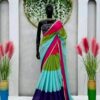 ইন্ডিয়ান আলিয়া ভাট অনুপ্রাণিত শাড়ি